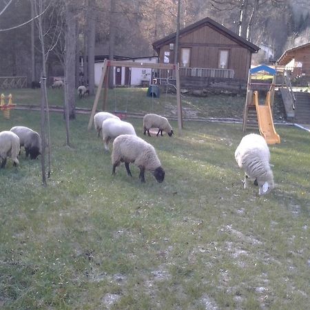 B&B La Miando Salza di Pinerolo Bagian luar foto